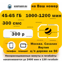 На ваш и новый номер.Абонентская 300.Yellow