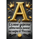 Самые дорогие номера в России: как купить красивый госномер в 2025 году